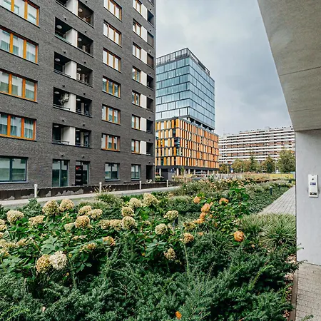 Rentplanet - Gwiazdzista