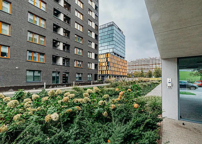 Rentplanet - Gwiazdzista